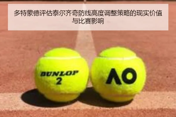 duo-te-meng-de-ping-gu-tai-er-qi-qi-fang-xian-gao-du-tiao-zheng-ce-lve-de-xian-shi-jia-zhi-yu-bi-sai-ying-xiang-3-380.jpg