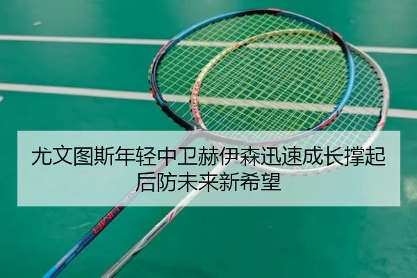 尤文图斯年轻中卫赫伊森迅速成长撑起后防未来新希望